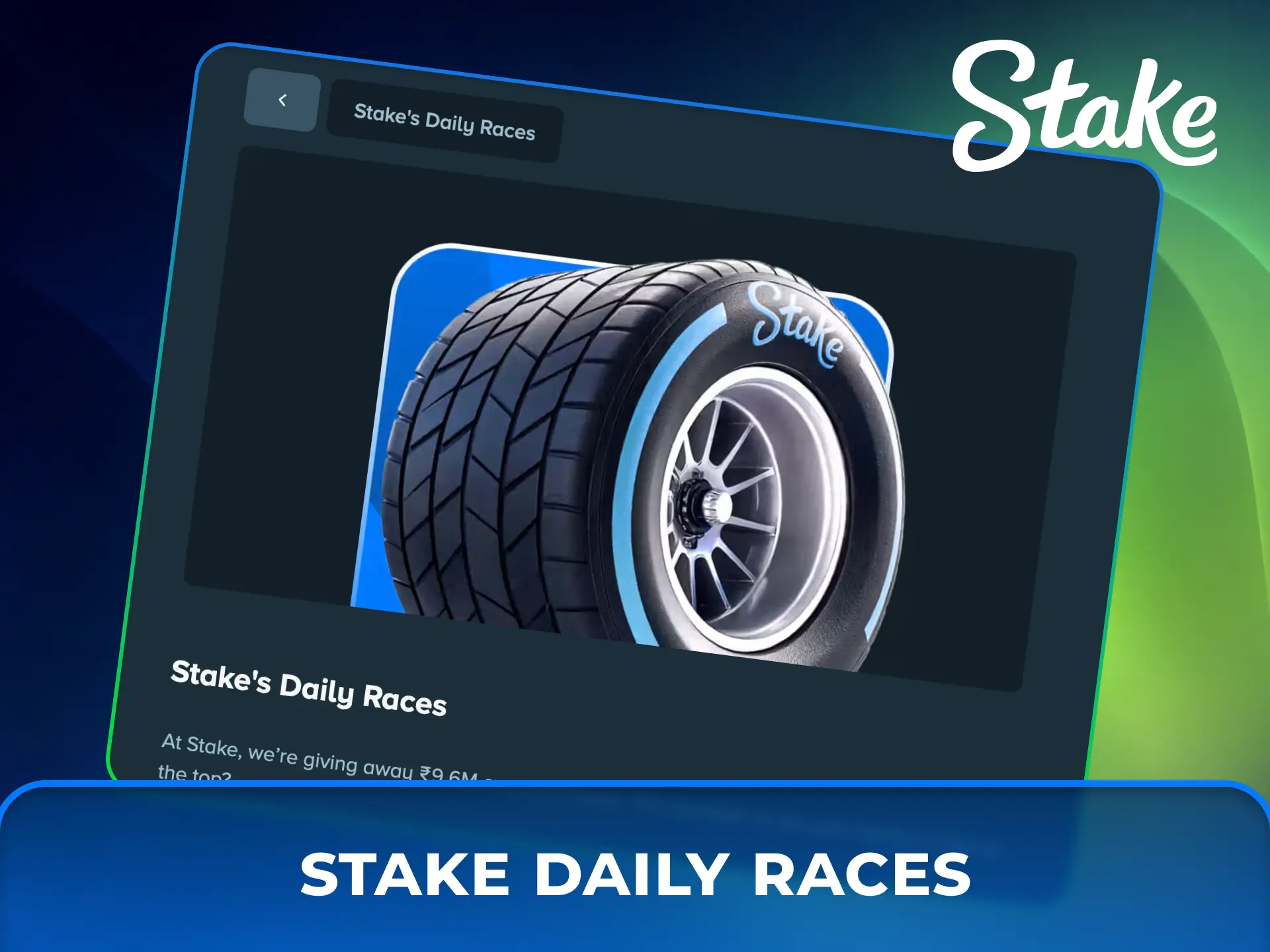 Compete in Stake Casino daily races to climb the leaderboard.